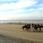 Beau Site